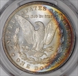 1890 $1 MS64