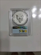 2019-S $1 Silver Eagle Enhanced Rev PR First Day of Issue PR70