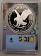 2023-W  $1 Silver Eagle  First Day of Issue Liberty Picture Frame PR70DCAM