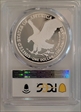 2023-S $1 Silver Eagle Advanced Release PR70DCAM