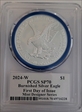 2024-W $1 Burnished Silver Eagle Mint Designer Series First Day of Issue Damstra SP70