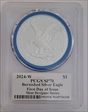 2024-W $1 Burnished Silver Eagle Mint Designer Series First Day of Issue Damstra SP70