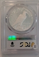 2024-S $1 Peace Dollar Advanced Release PR70DCAM