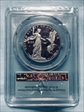 2015-W $100 Statue of Liberty First Strike PR70DCAM