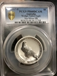 2017-P $8 Wedge-Tailed Eagle 5oz Silver HR PR68DCAM
