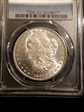 1891-CC $1 MS63