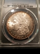 1889-O $1 MS63