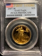 2007-W $25 Gold Eagle First Strike PR69DCAM