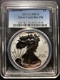2013-W $1 Silver Eagle Rev PR PR70