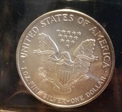 2007 $1 Silver Eagle 
