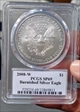 2008-W $1 Burnished Silver Eagle Mercanti Signature SP69