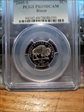 2005-S 5C Bison PR69DCAM