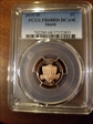 2019-W 1C Shield PR68DCAM