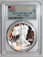 2018-S $1 Silver Eagle First Strike PR70DCAM