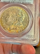 1902 $1 MS66