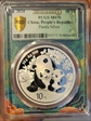 2024 10 Yn Panda Silver Panda 2023 Green Lbl, FDoI (L#356) MS70