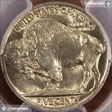 1938-D 5C Buffalo MS66