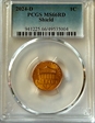 2024-D 1C Shield MS66RD