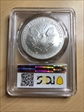 2006-W $1 Burnished Silver Eagle SP70