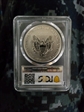 2006-P $1 Eagle-20th Anniversary Reverse Proof PR69