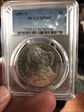1881-S $1 MS65