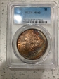 1891 $1 MS62