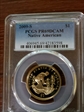 2009-S $1 Native American PR69DCAM