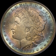 1883 $1 MS66