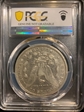 1895-O $1 N1