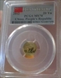 2012 20 Yn Panda Gold  First Strike MS70