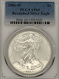 2006-W $1 Burnished Silver Eagle SP69