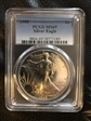 1988 $1 Silver Eagle MS69