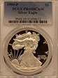 1999-P $1 Silver Eagle PR69DCAM