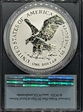 2021-S $1 Silver Eagle Rev PR - Type 2 Designer Edition - First Strike PR69