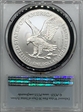 2021-W $1 Burnished Silver Eagle-Type 2 First Strike SP70