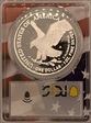 2022-S $1 Silver Eagle First Day of Issue Flag Picture Frame PR70DCAM
