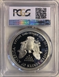 1995-P $1 Silver Eagle PR69DCAM