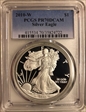 2010-W $1 Silver Eagle PR70DCAM