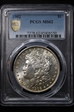 1902 $1 MS62