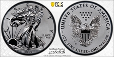 2019-S $1 Silver Eagle Enhanced Rev PR First Strike PR69