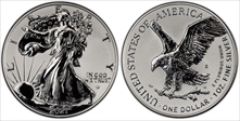2021-S $1 Silver Eagle Rev PR - Type 2 Designer Edition PR69