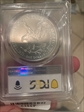 2025 $1 Silver Eagle MS70