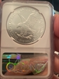 2021 $1 Silver Eagle - Type 2 MS70