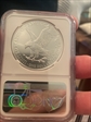 2021 $1 Silver Eagle - Type 2 MS70