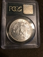 1903 $1 MS65