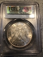 1899 $1 MS63