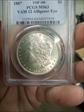 1887 $1 VAM 12, Alligator Eye MS63