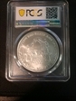 2007-W $1 Burnished Silver Eagle SP69