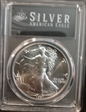 1991 $1 Silver Eagle MS69