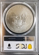 2011-S $1 Silver Eagle 25th Anniversary Set First Strike MS69